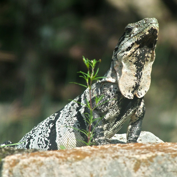 20120214200859_14_08_11_013r 20120214200859_14_08_11_013r