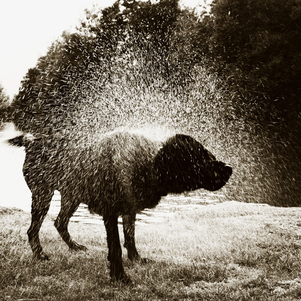 20120214202908_img_0064 20120214202908_img_0064