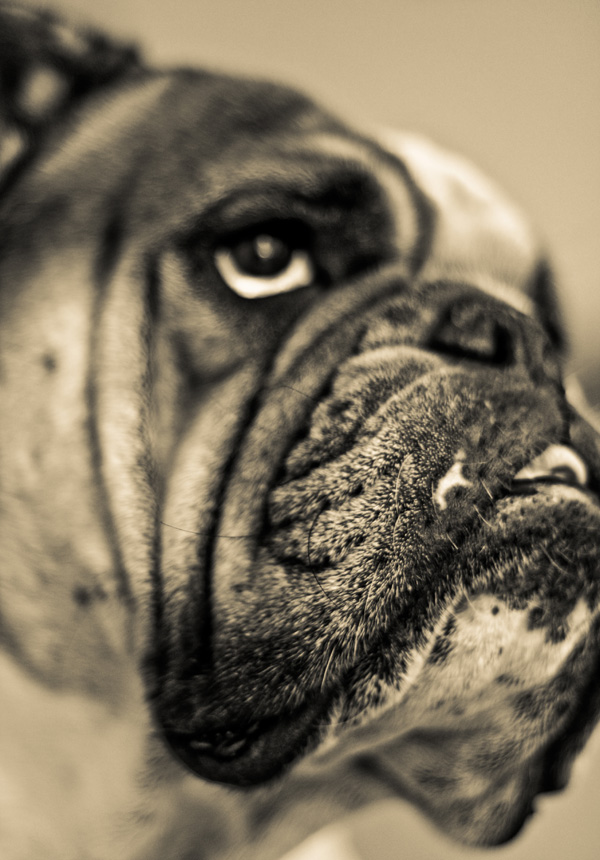 20120214203553_img_6348_3 20120214203553_img_6348_3