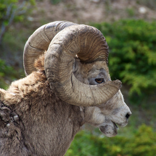 20120214204639_dsc_3805___version_2 20120214204639_dsc_3805___version_2