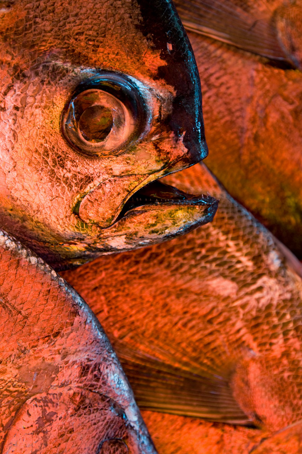 20120214214602_agonie_harsch 20120214214602_agonie_harsch