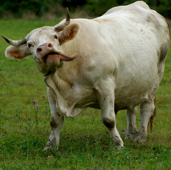 20120214214821_250810_002w 20120214214821_250810_002w