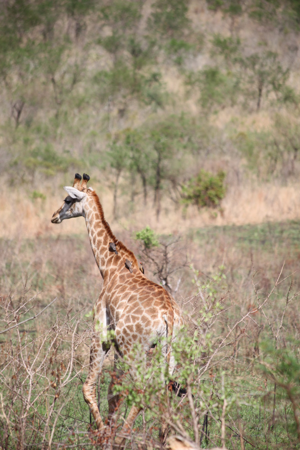 20120214232326_032 20120214232326_032