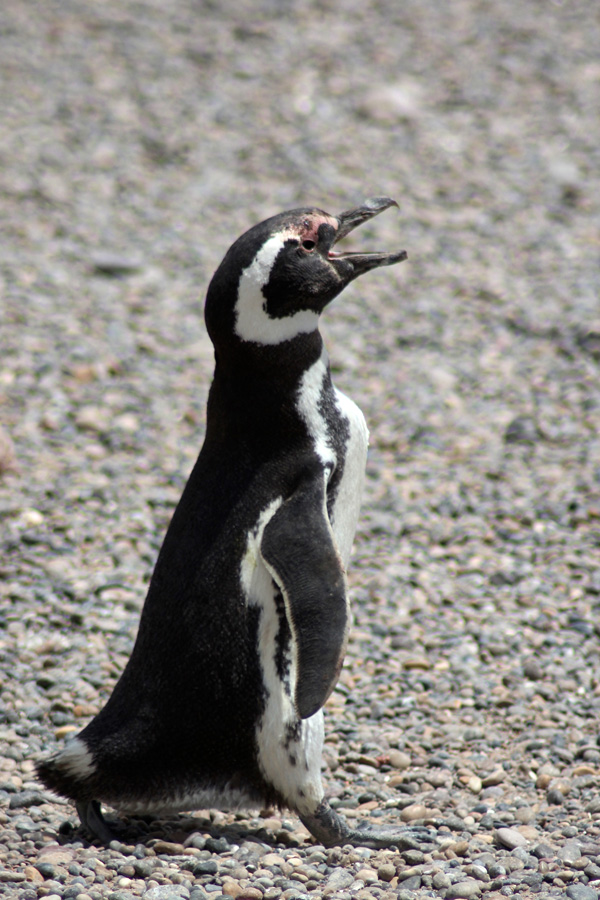 20120215020623_img_9903___version_2 20120215020623_img_9903___version_2