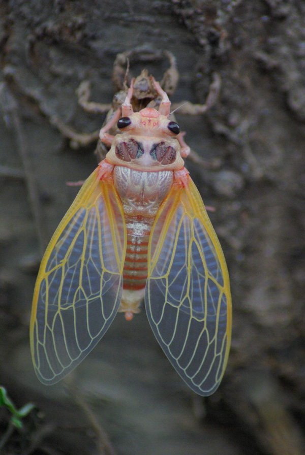 20120215083043_imgp3207 20120215083043_imgp3207