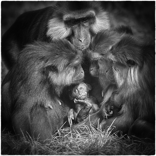 20120215104551_nativite 20120215104551_nativite