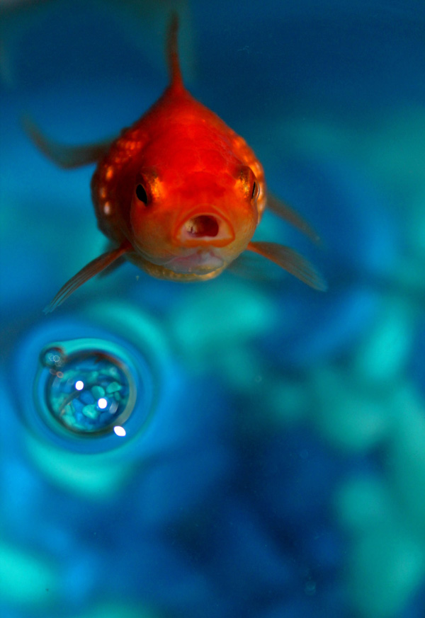 20120215110954_neptune 20120215110954_neptune