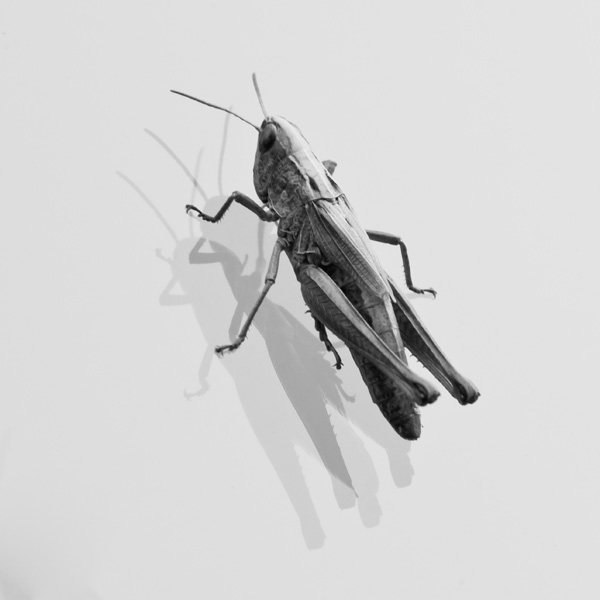 20120215122916_imgp4709lr 20120215122916_imgp4709lr