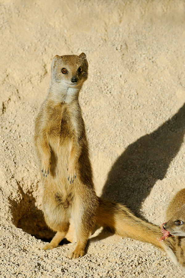 20120215134048_dsc_4279_gf 20120215134048_dsc_4279_gf