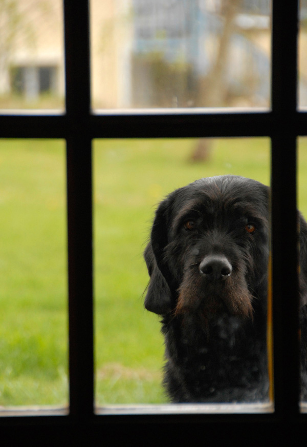 20120215151433__dsc0412_copie 20120215151433__dsc0412_copie