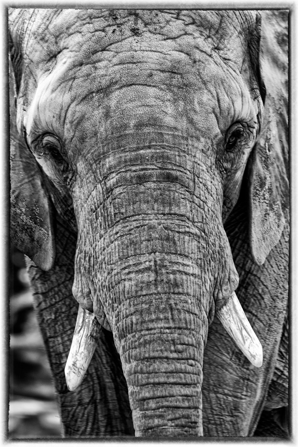 20120215162504_memoire_lefeuvre 20120215162504_memoire_lefeuvre