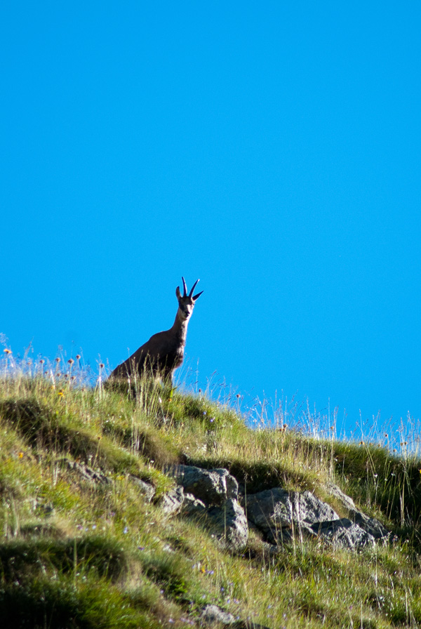 20120215182432_20100806_dsc_3364_26 20120215182432_20100806_dsc_3364_26