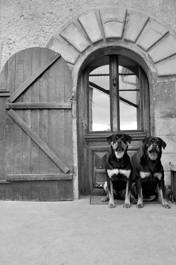 20120215183204_lou___lou 20120215183204_lou___lou