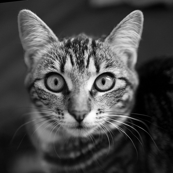 20120215185739_5140526061_7974777cb1_o 20120215185739_5140526061_7974777cb1_o