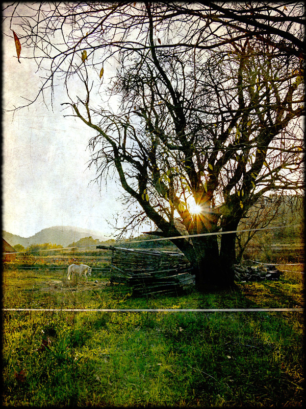 20120215190755_st_anne_2011_courbe 20120215190755_st_anne_2011_courbe