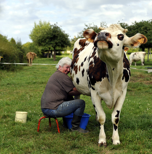 20120215192418_made_in_normandie 20120215192418_made_in_normandie
