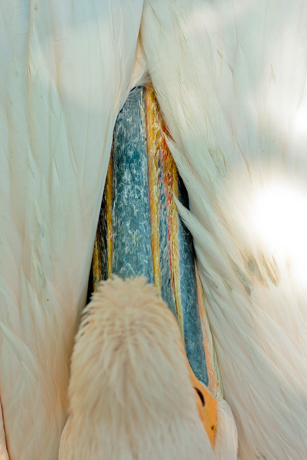 20120215192642_img_8790_2 20120215192642_img_8790_2