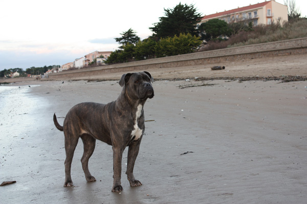 20120215201754_djok_eden_012 20120215201754_djok_eden_012