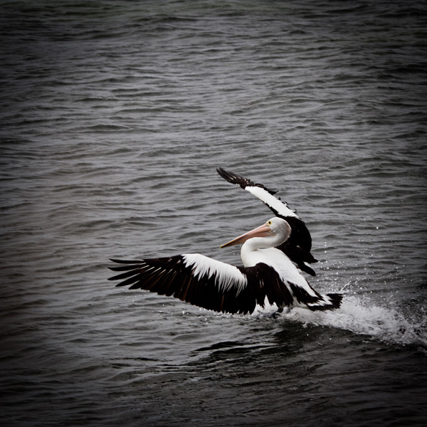 20120215205337_20101110_7465 20120215205337_20101110_7465