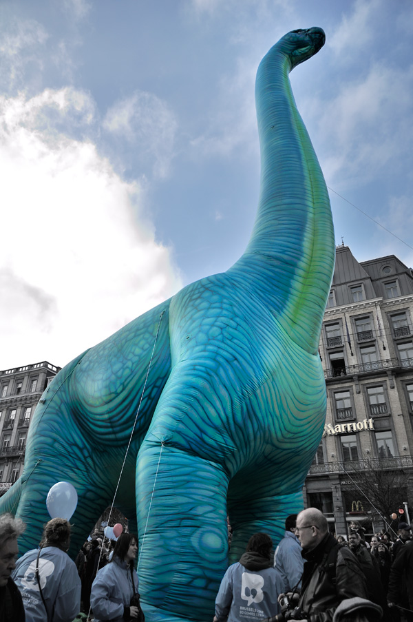 20120215210909__dsc0118 20120215210909__dsc0118