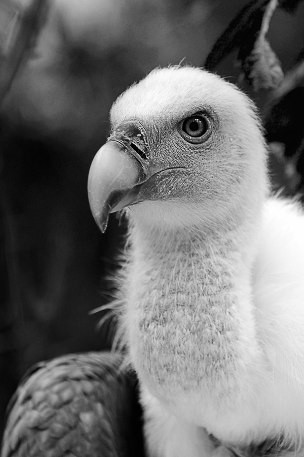 20120215212333__dav3556_nb 20120215212333__dav3556_nb