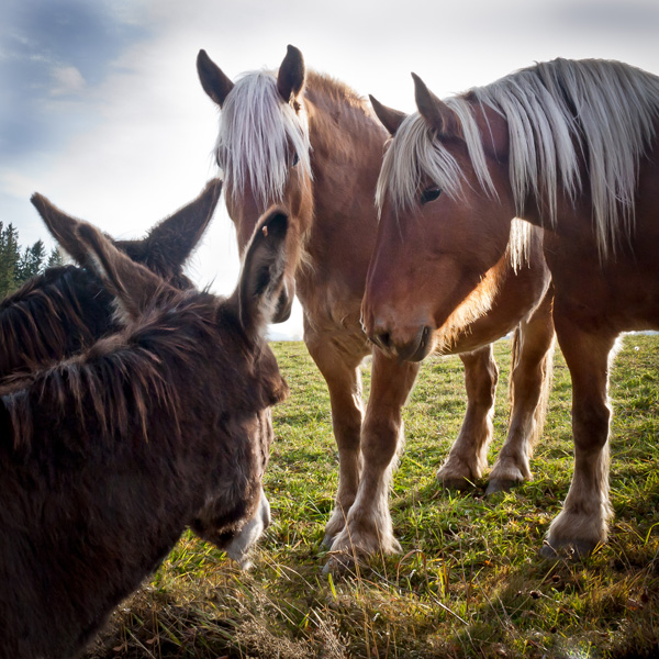 20120215215127_invitation 20120215215127_invitation