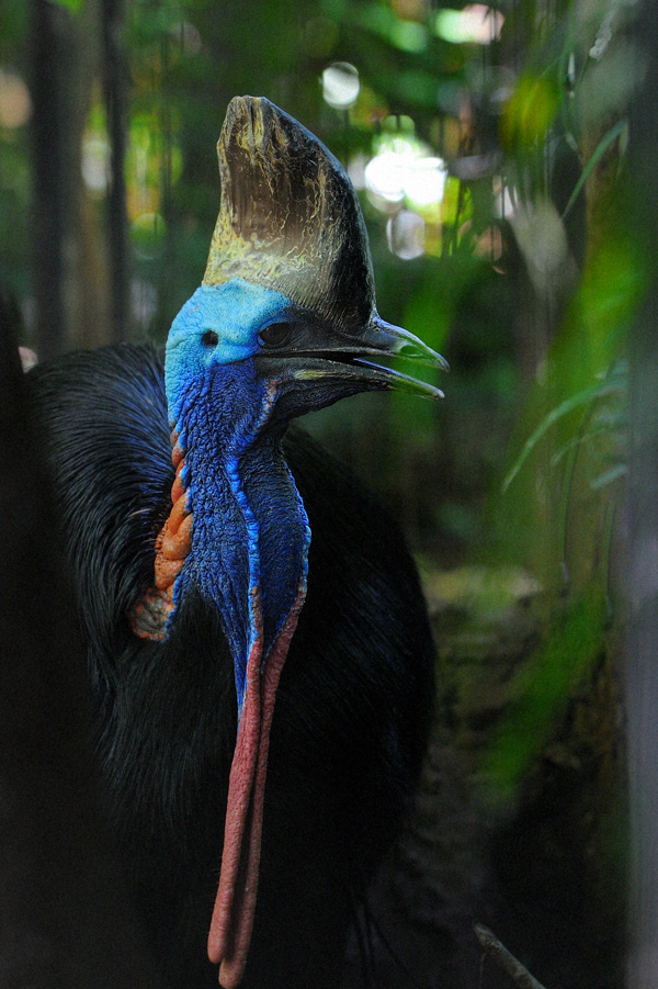 20120215221454__nik2501 20120215221454__nik2501