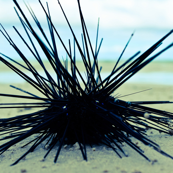 20120215225343_img_3827_5 20120215225343_img_3827_5