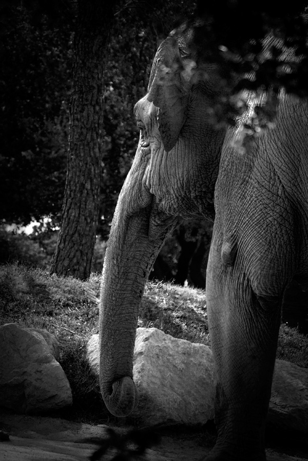 20120215231813__igp4503b_w 20120215231813__igp4503b_w