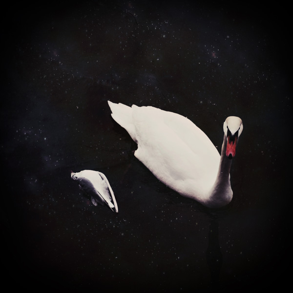 20120215234809_le_yin_et_le_yang 20120215234809_le_yin_et_le_yang