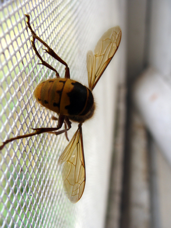 20120216160443_dsc08407a 20120216160443_dsc08407a