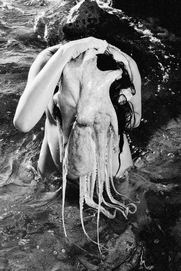 hormoz_apparition hormoz_apparition