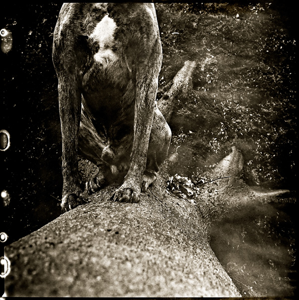 20120214223603_seven 20120214223603_seven