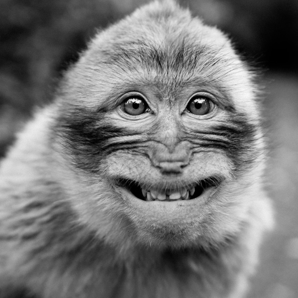 20120214231348_img_1988_1 20120214231348_img_1988_1