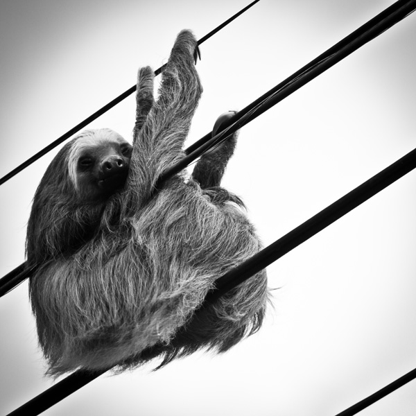 20120215041321_20111229_img_4754 20120215041321_20111229_img_4754