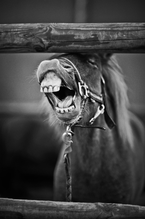 20120215102655__dsc0818 20120215102655__dsc0818