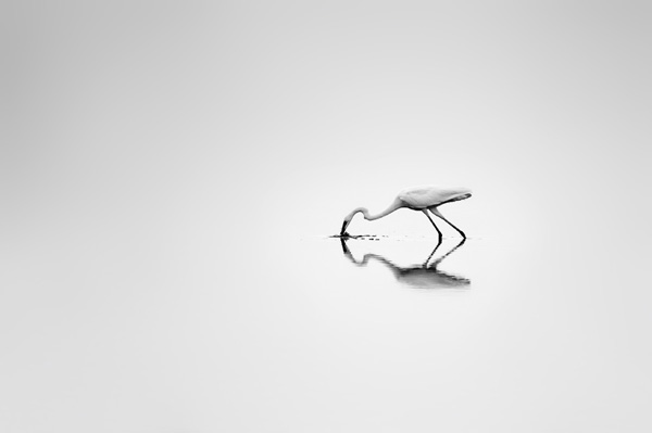 20120215202651_nicolasguerin 20120215202651_nicolasguerin