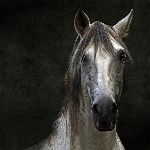 Agnès Panisset Agnès Panisset