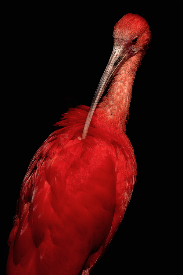 Daniel Boirat Daniel Boirat