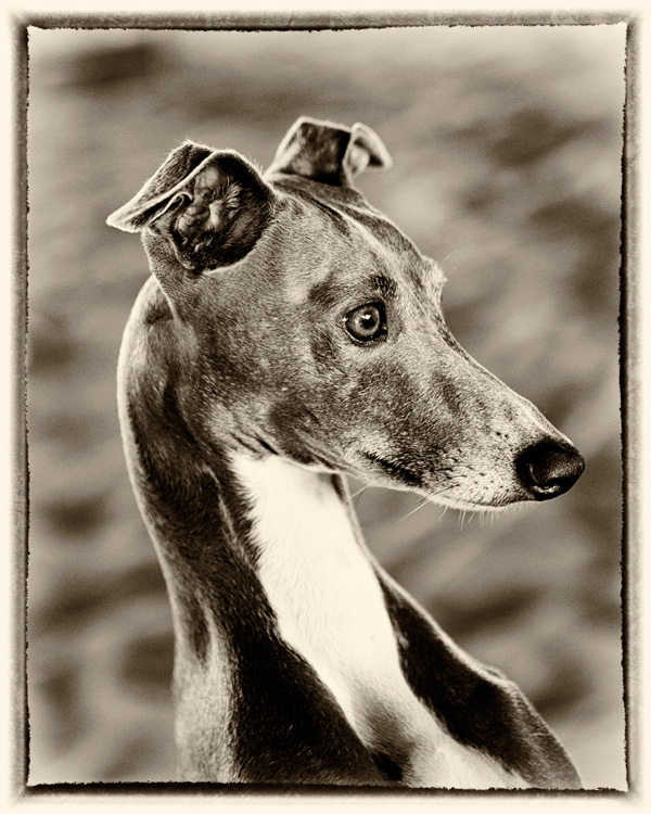 Nathalie Seroux Nathalie Seroux