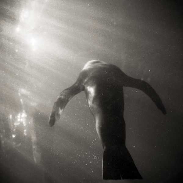 Vincent Bourrely Vincent Bourrely