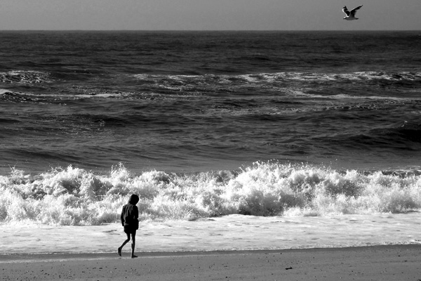 20120306102151_moise_large 20120306102151_moise_large