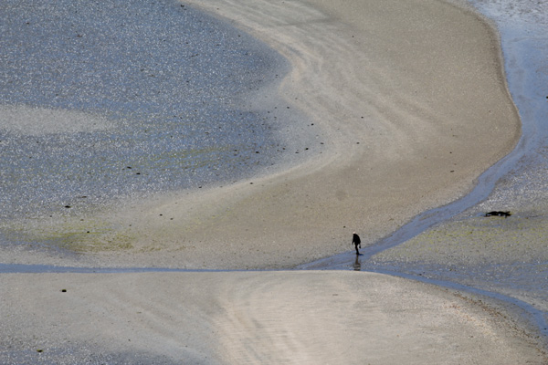 20120306230505_baie_de_st_brieuc_22 20120306230505_baie_de_st_brieuc_22