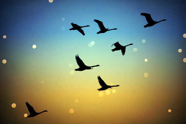 20120307105815_img_0282 20120307105815_img_0282