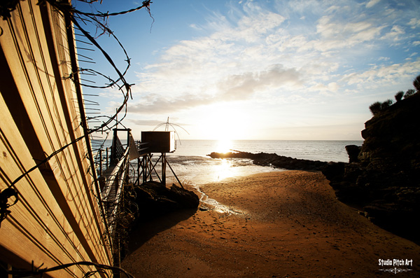 20120307151113_img_0690 20120307151113_img_0690