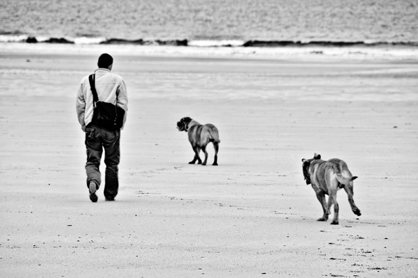 20120307161835_dsc_9520 20120307161835_dsc_9520