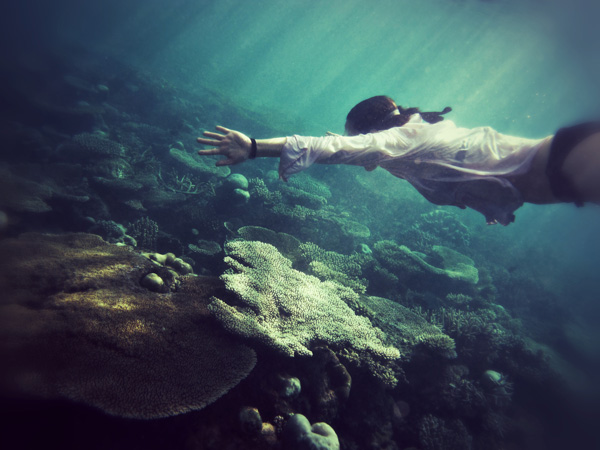 20120306214956_ganisland 20120306214956_ganisland