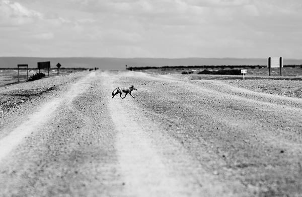 20120306225941_traversee_du_desert 20120306225941_traversee_du_desert