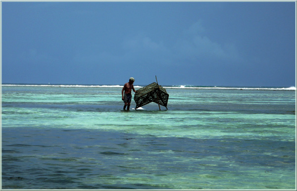 20120308095900_p1000394 20120308095900_p1000394