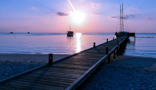 20120310213411_img_1376 20120310213411_img_1376